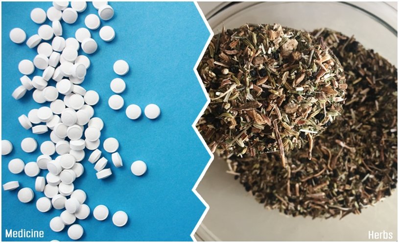 Medicine Vs Herbs: What's Best For Anxiety Disorder?