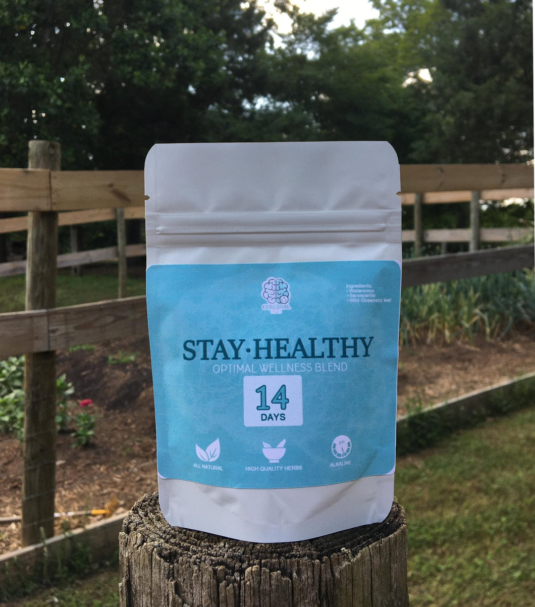 Original 'Stay-Healthy' Tea - 14 Day Supply - Cerebral Tea Company