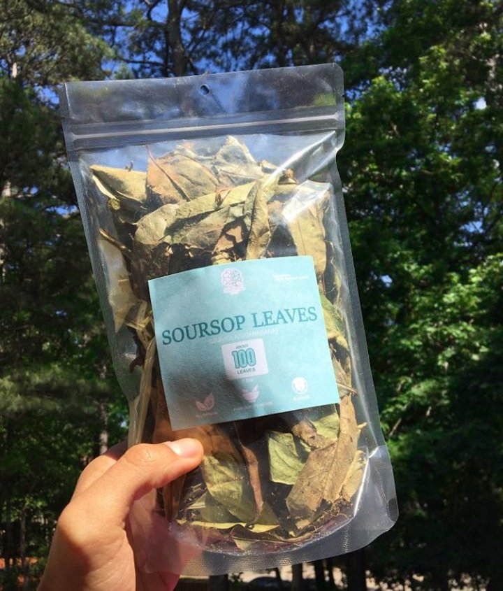Soursop Leaves (aka Guanabana/Graviola) 1.5oz - Cerebral Tea Company